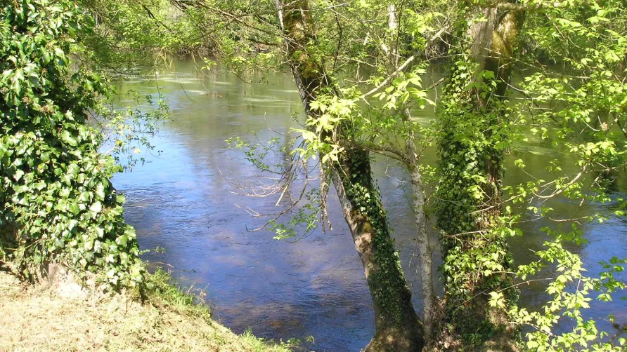 Camping La Rivière