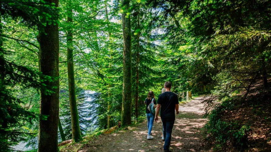 Camping La Rivière