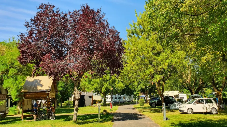 Camping Les Patis