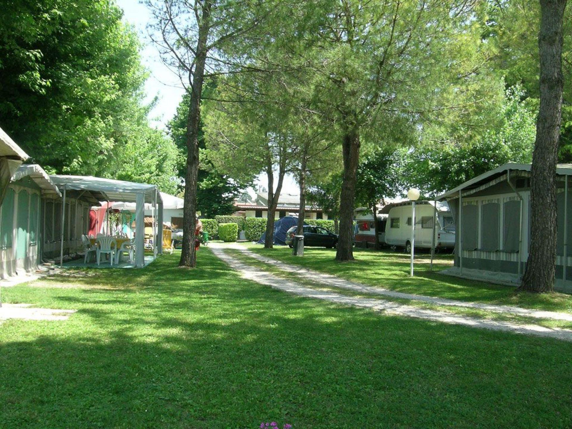 Camping Garden Tourist