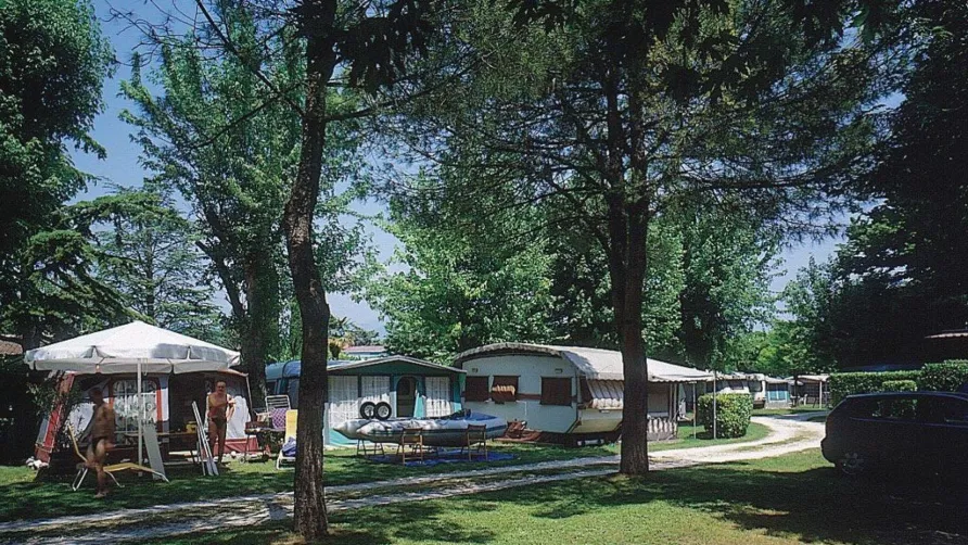 Camping Garden Tourist