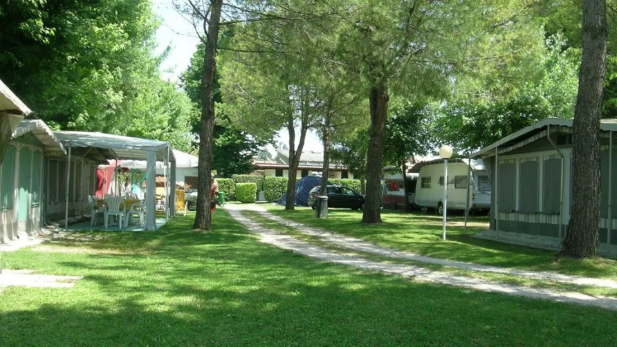 Camping Garden Tourist