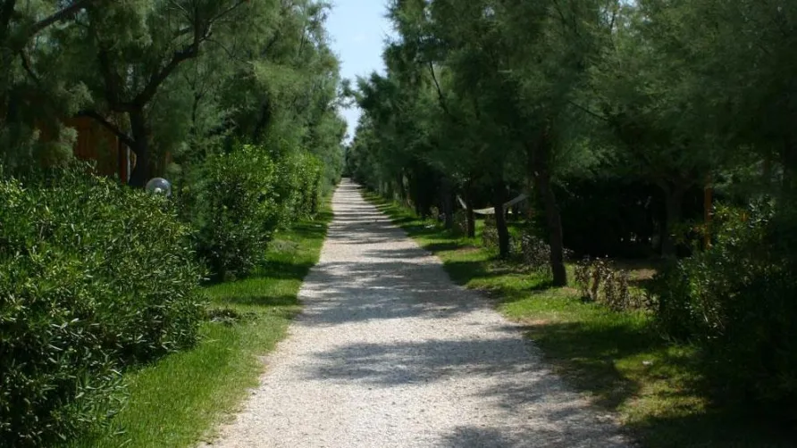 Torre Rinalda Beach Camping & Resort