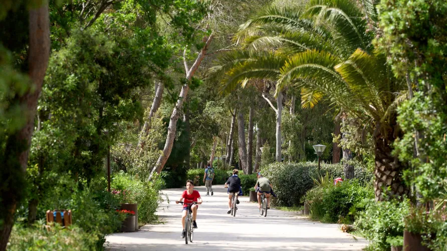 Camping Campo dei Fiori