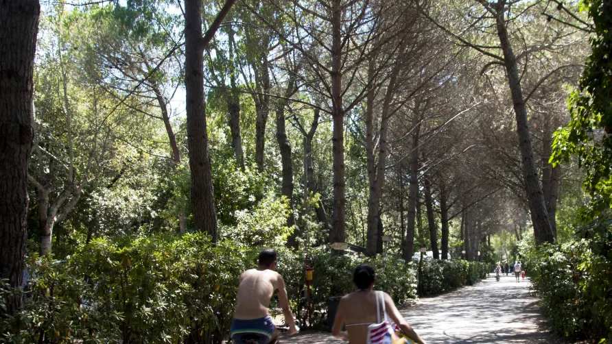 Camping Campo dei Fiori