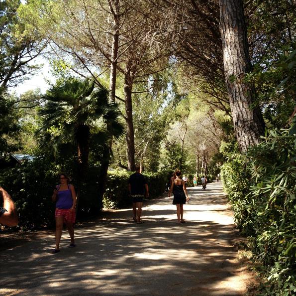Camping Campo dei Fiori