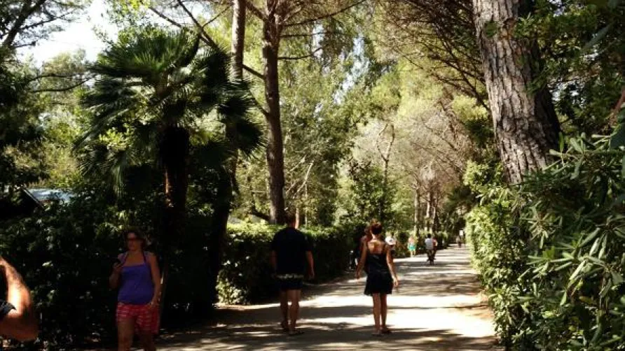 Camping Campo dei Fiori