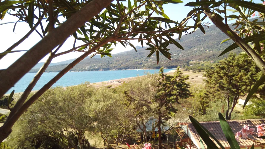Camping Tikiti
