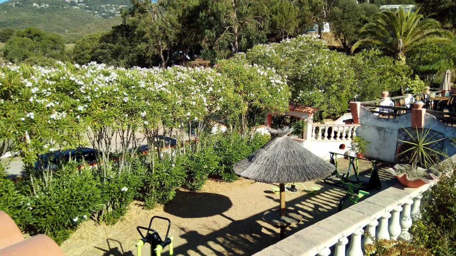 Camping Tikiti