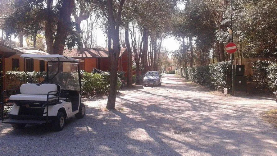 Campeggio Bosco Verde