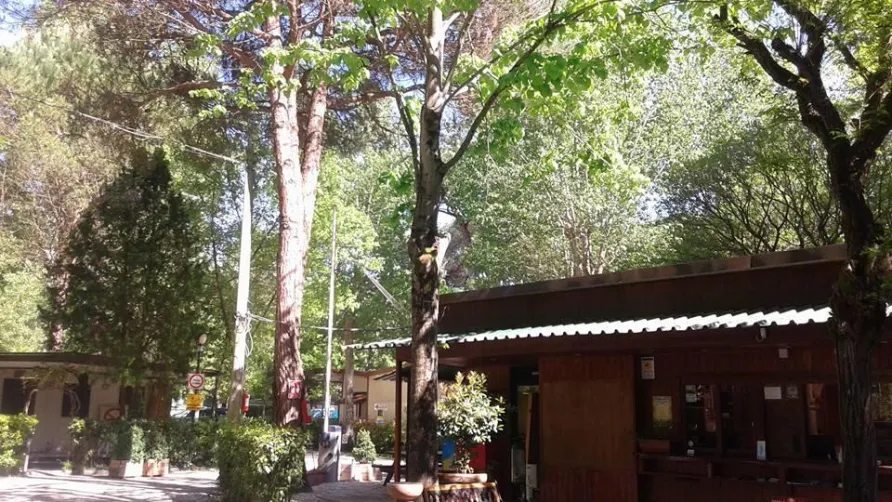 Campeggio Bosco Verde