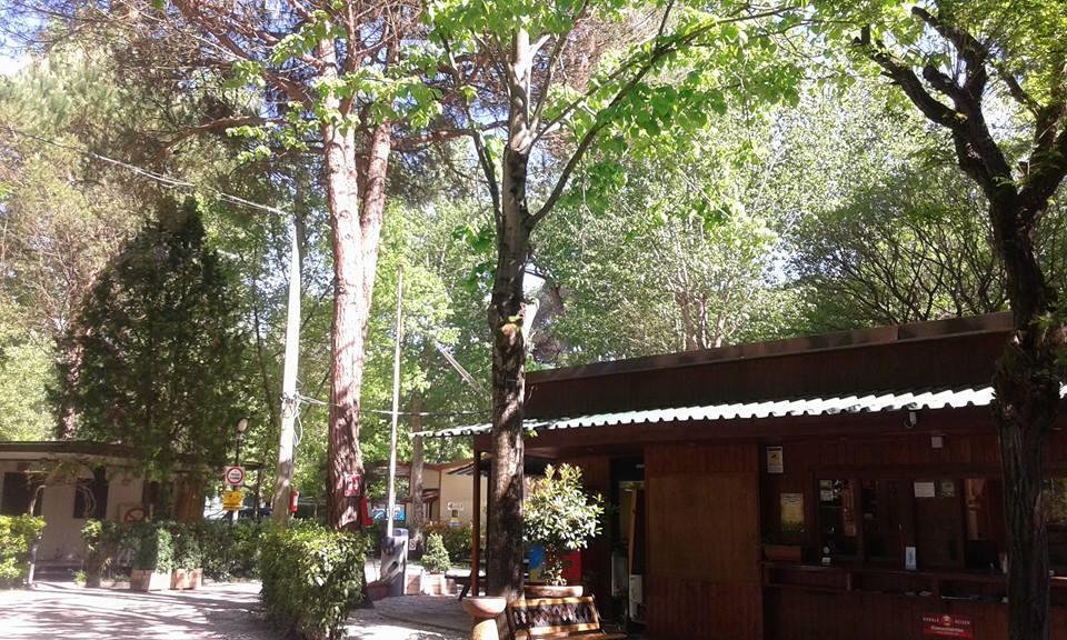 Campeggio Bosco Verde