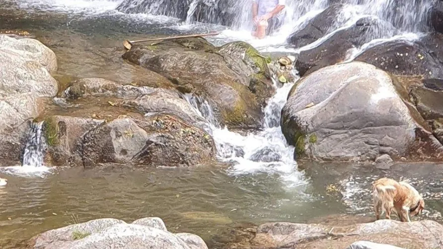 Camping La Salendrinque