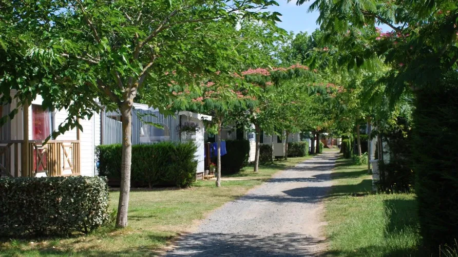 Camping La Borderie
