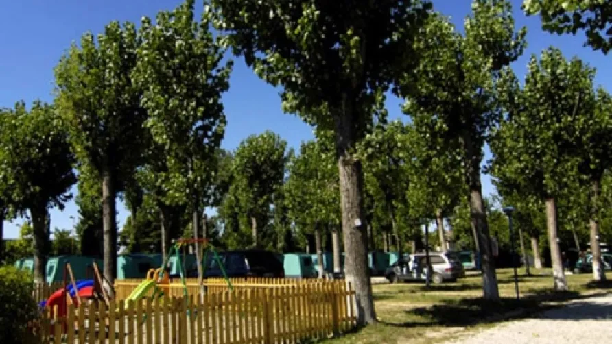 Jolly Camping In Town