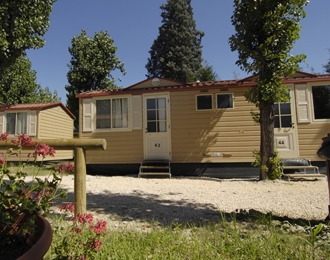 Jolly Camping In Town