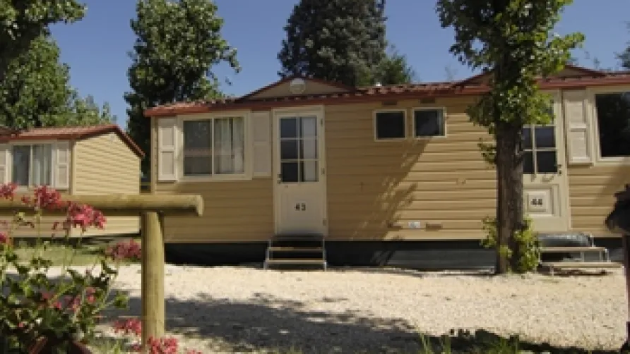 Jolly Camping In Town