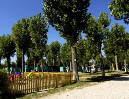 Jolly Camping In Town