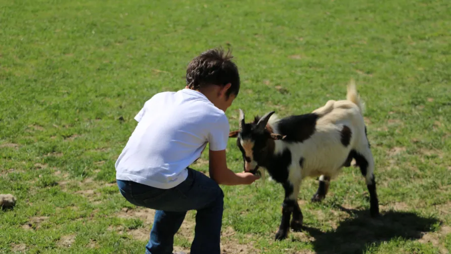 Camping Ferme Pédagogique de Prunay