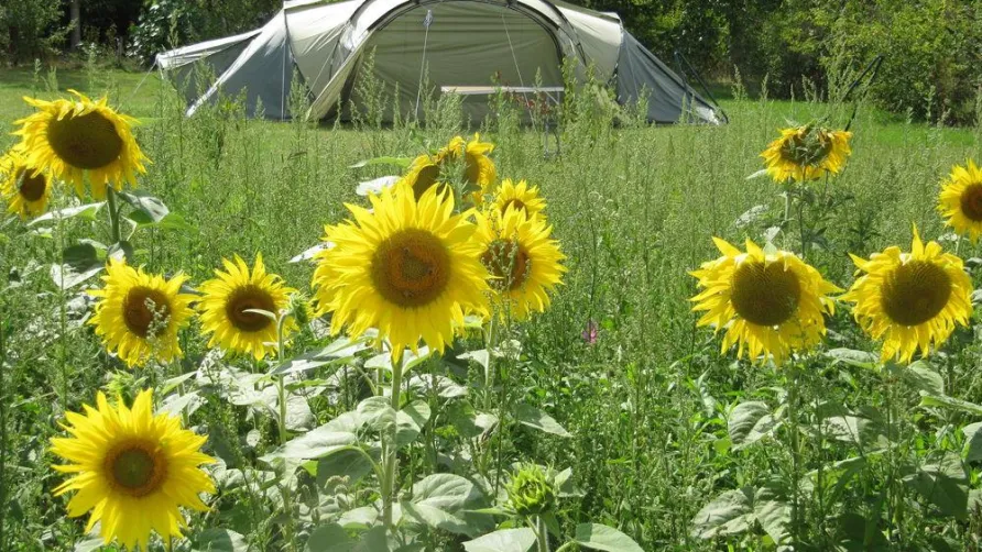 Camping Ferme Pédagogique de Prunay