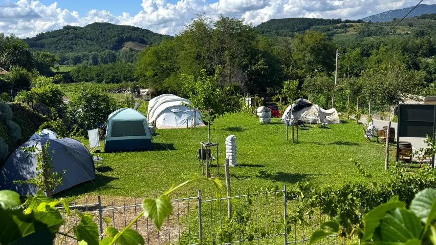 Saxida Wine & Camping Resort