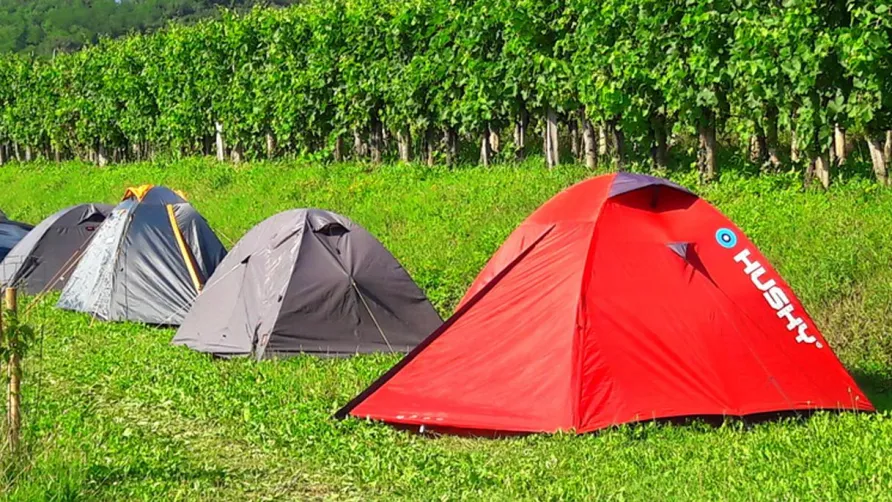 Saxida Wine & Camping Resort