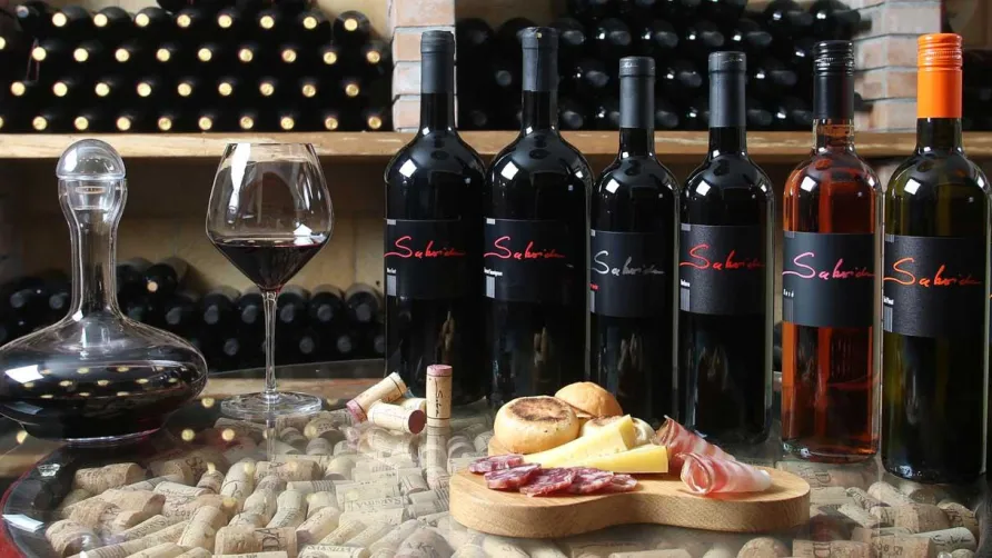 Saxida Wine & Camping Resort