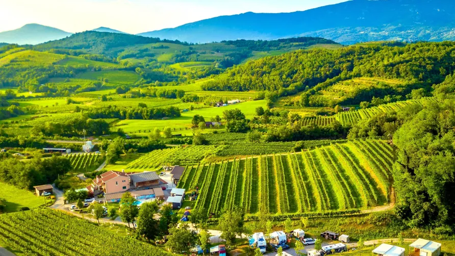 Saxida Wine & Camping Resort
