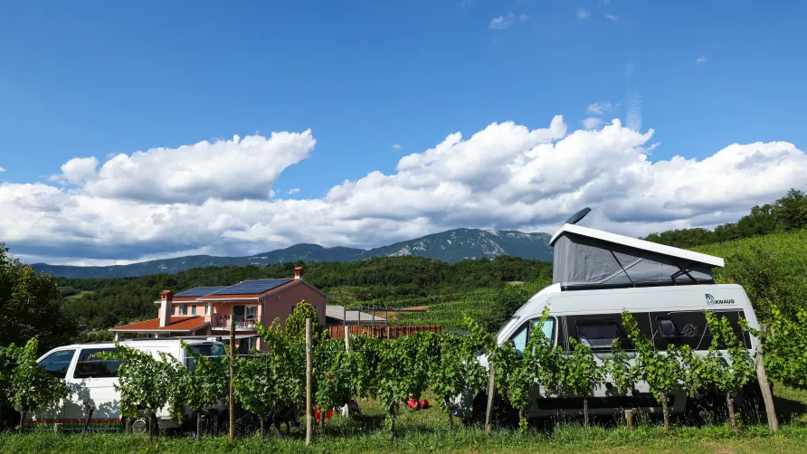 Saxida Wine & Camping Resort