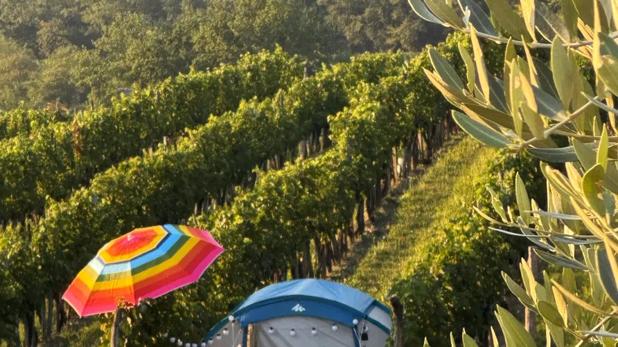 Saxida Wine & Camping Resort