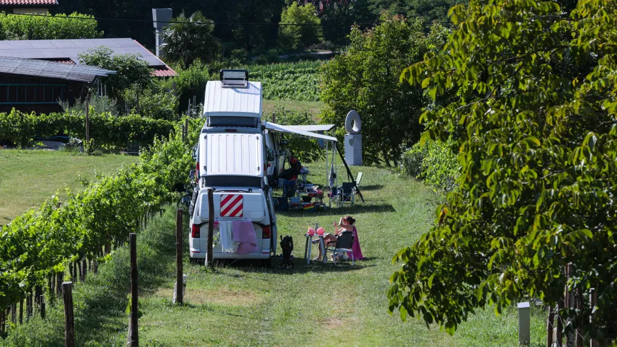 Saxida Wine & Camping Resort