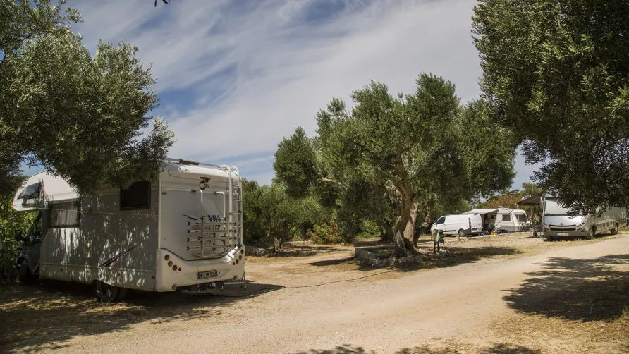 Olivia Green Camping