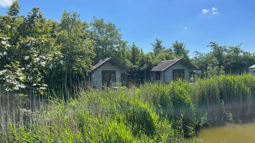 Camping de Zeehoeve