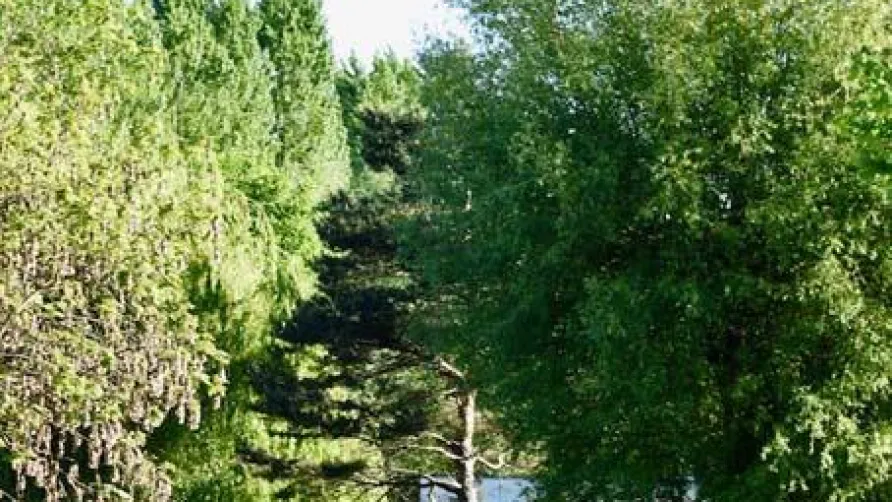 Camping l'Ile d'Amour