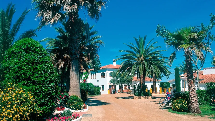 CAMPING LAS PALMERAS