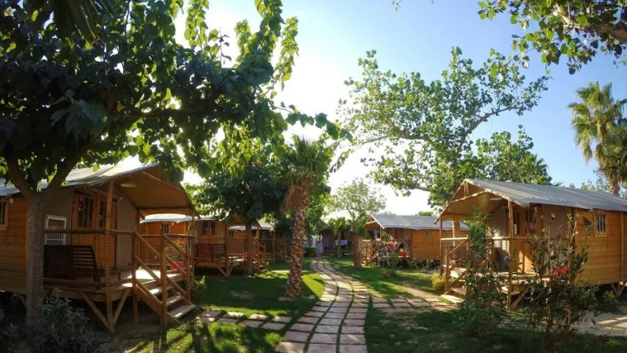 CAMPING LAS PALMERAS