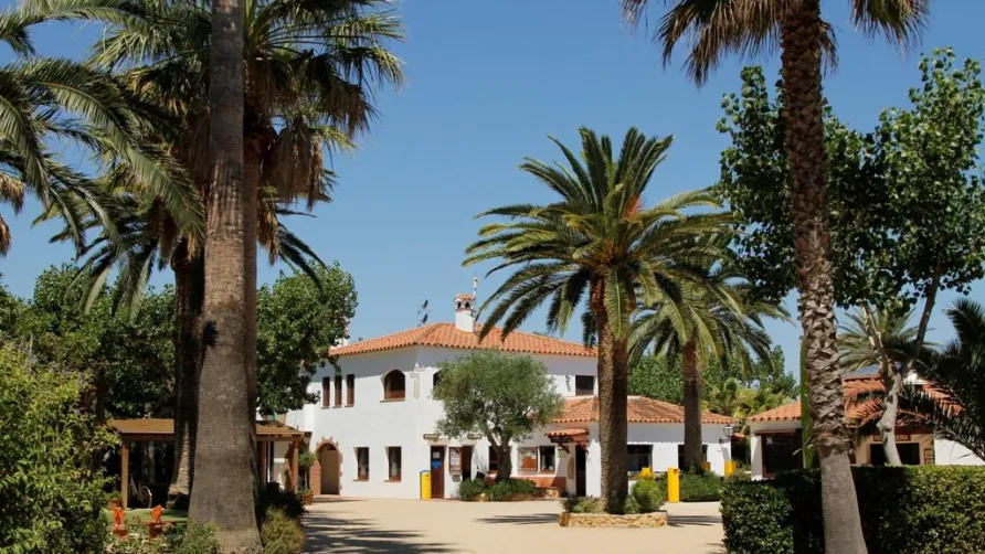 CAMPING LAS PALMERAS