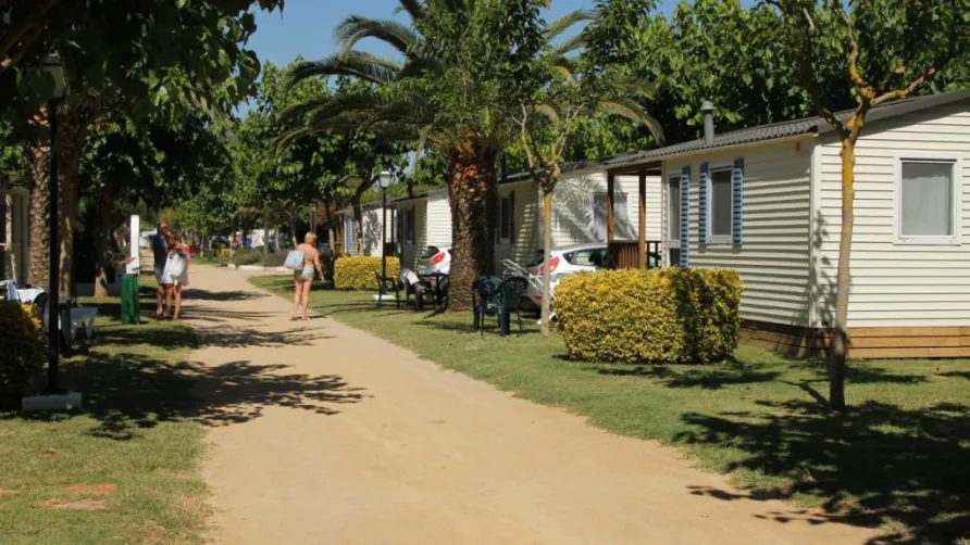 CAMPING LAS PALMERAS