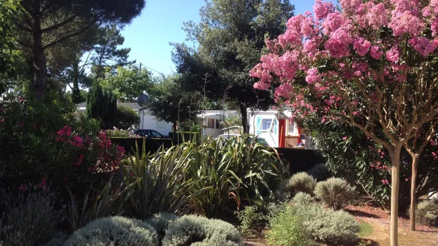 Camping La Boulinière