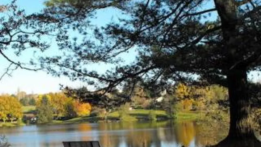 L'Etang de Vivale