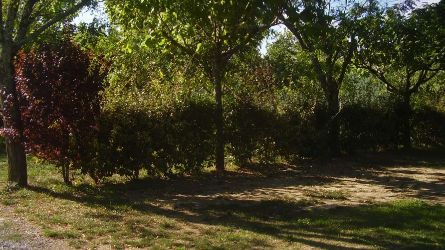CAMPING LA SOURCE
