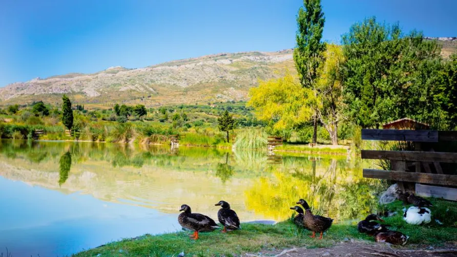 Camping La Peiriere