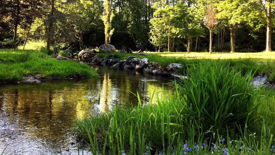 Camping Pré Vologne