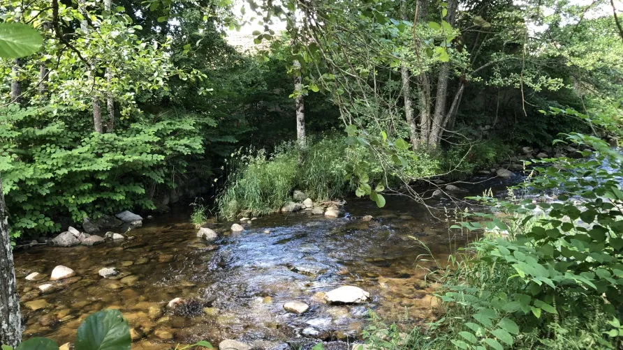 Camping Pré Vologne