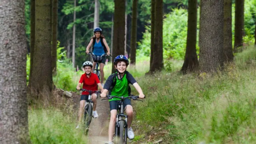 Camping Lou Paradou