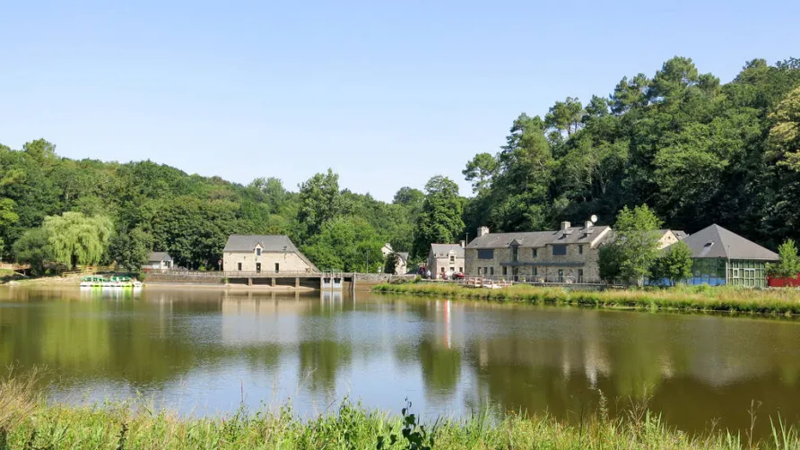 Domaine du Moulin Neuf - Terres de France
