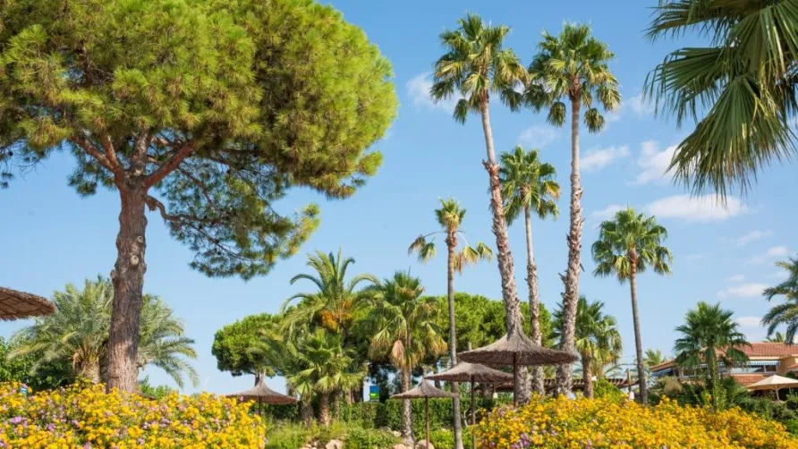 Stel Camping & Bungalow Resort
