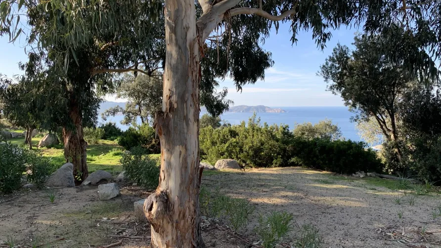 Camping Monte Ortu by Corsica Paradise