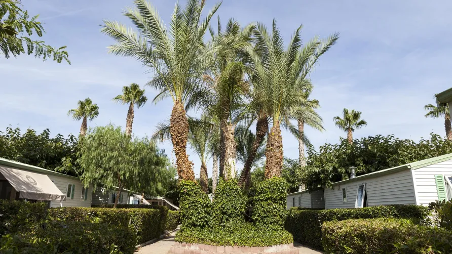 Camping Platja Cambrils