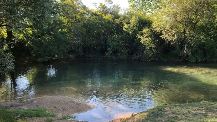 Camping MOULIN DE PAULHIAC